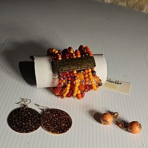 Decree Multicolor Beaded Bracelet and Earring Set